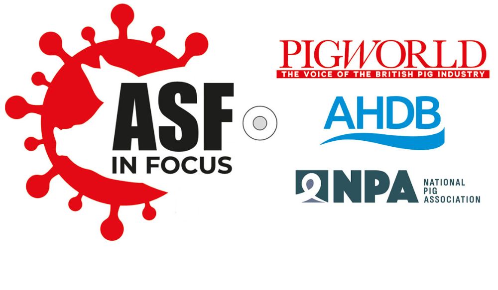 Red and black ASF in Focus promo graphic featuring Pig World, AHDB and NPA logos